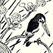 Multiple Artists Galleries